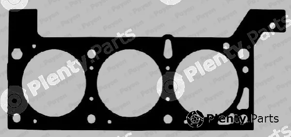 Payen AC5580 — Gasket, cylinder head
