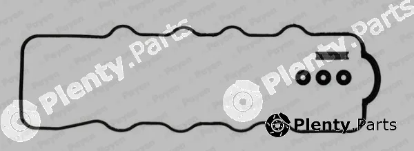 Payen HL508 — Gasket Set, cylinder head cover