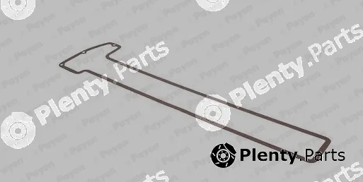 Payen JN180 — Gasket, cylinder head cover