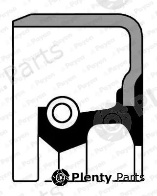 Payen NA5140 — Shaft Seal, crankshaft