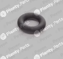 Payen LA5252 — Seal Ring, injector