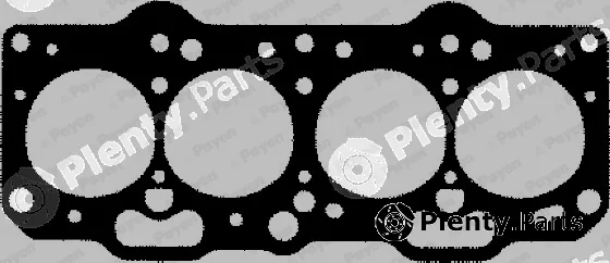 Payen BP290 — Gasket, cylinder head