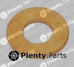 Payen KG5078 — Seal Ring, nozzle holder