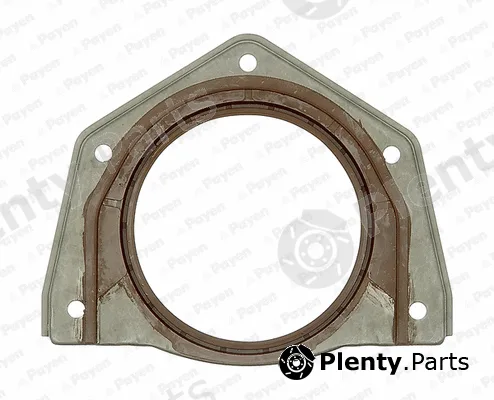 Payen NF888 — Shaft Seal, crankshaft