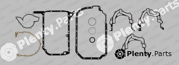 Payen EC5960 — Gasket Kit, crankcase