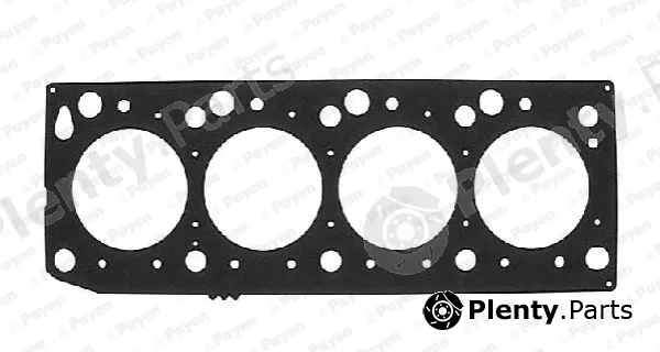Payen AB5310 — Gasket, cylinder head