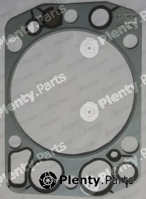 Payen BG850 — Gasket, cylinder head