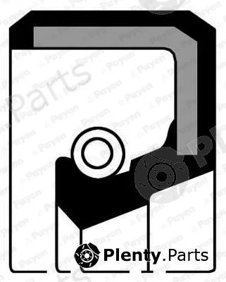 Payen NA5051 — Shaft Seal, crankshaft