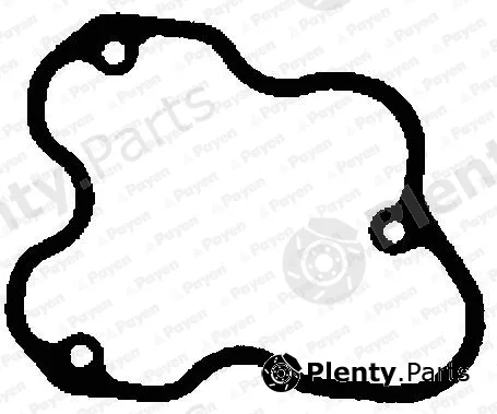 Payen JM7204 — Gasket, cylinder head cover