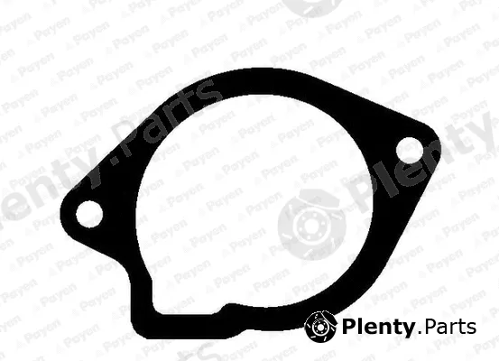 Payen KA5025 — Gasket, water pump