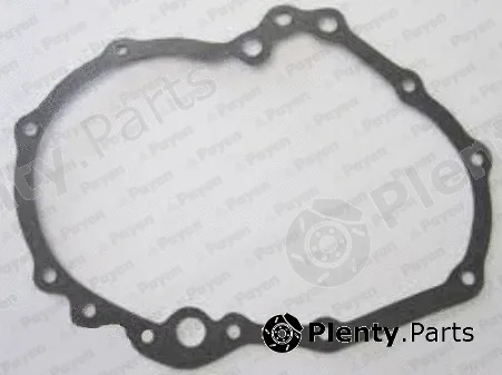 Payen JR5058 — Gasket, timing case cover