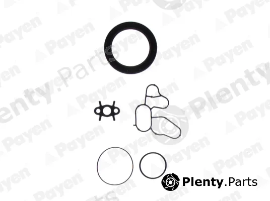 Payen ED5800 — Gasket Kit, crankcase
