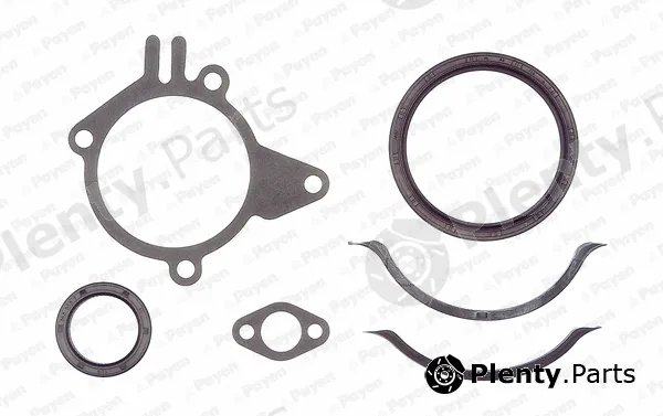 Payen EG5120 — Gasket Kit, crankcase