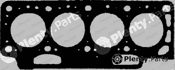 Payen BS010 — Gasket, cylinder head