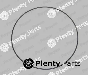 Payen LA5237 — O-Ring, cylinder sleeve