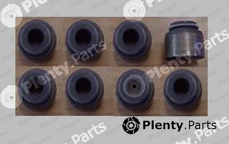 Payen HR5151 — Seal Set, valve stem
