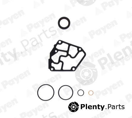 Payen EC060 — Gasket Kit, crankcase