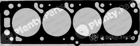 Payen BP810 — Gasket, cylinder head
