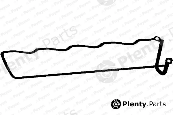Payen JM5282 — Gasket, cylinder head cover