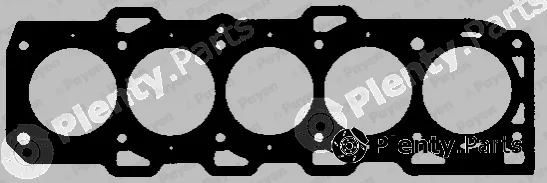 Payen AA5590 — Gasket, cylinder head