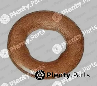 Payen KG5340 — Heat Shield, injection system