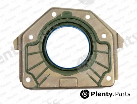 Payen LK5001 — Shaft Seal, crankshaft
