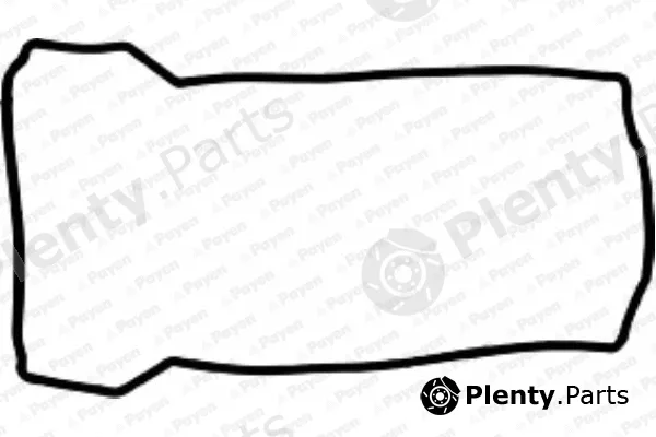 Payen JN911 — Gasket, cylinder head cover