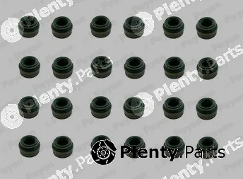 Payen HR5117 — Seal Set, valve stem