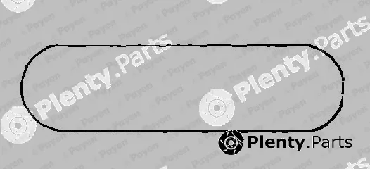 Payen JM7207 — Gasket, cylinder head cover
