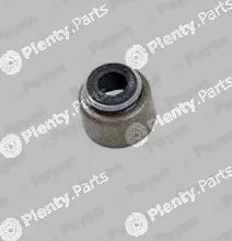Payen PB356 — Seal Ring, valve stem