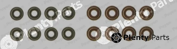 Payen HR5136 — Seal Set, valve stem
