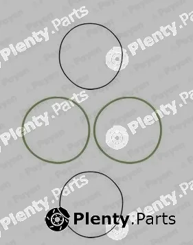 Payen HL5070 — O-Ring Set, cylinder sleeve