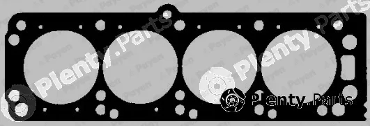 Payen BY250 — Gasket, cylinder head