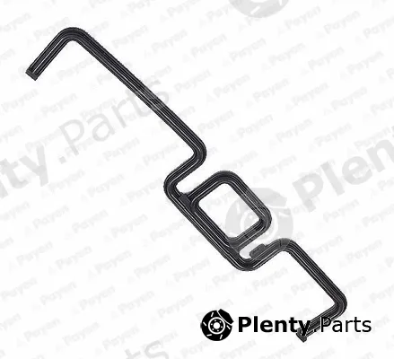 Payen JR5041 — Gasket, timing case cover