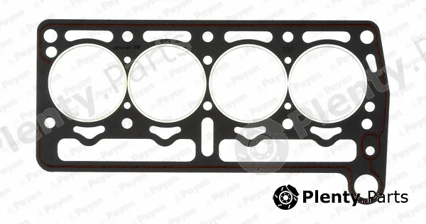 Payen BP520 — Gasket, cylinder head