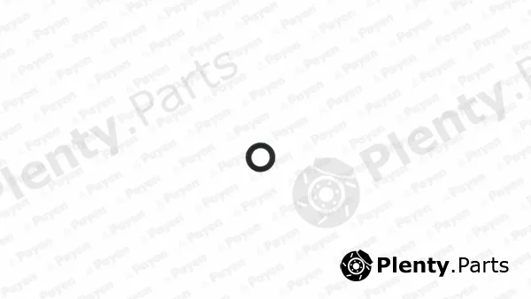 Payen LB316 — Seal, spark plug stem