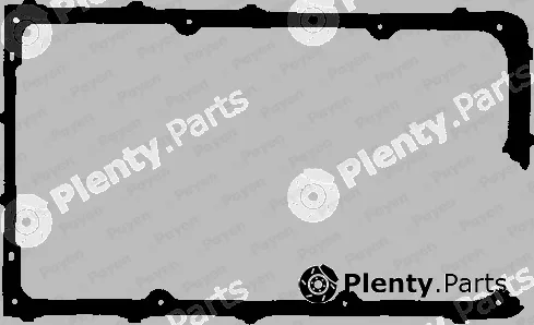 Payen JN620 — Gasket, cylinder head cover