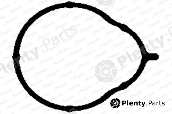 Payen JD5858 — Gasket, intake manifold