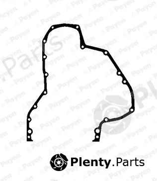 Payen JR5038 — Gasket, timing case
