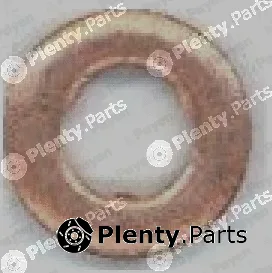Payen KG5342 — Heat Shield, injection system