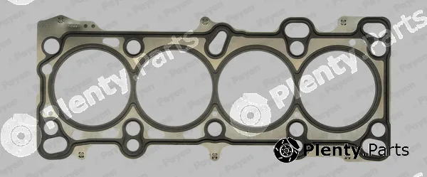 Payen AA5030 — Gasket, cylinder head