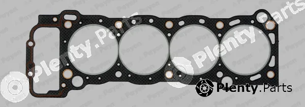 Payen BX060 — Gasket, cylinder head