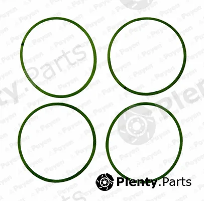 Payen HA5032 — Gasket Set, intake manifold