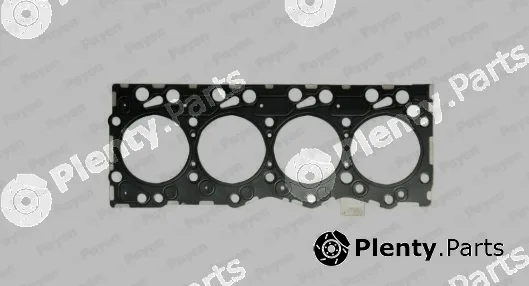 Payen AG9510 — Gasket, cylinder head