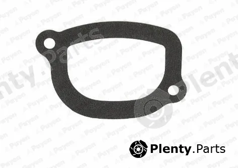 Payen KA5032 — Seal, thermostat