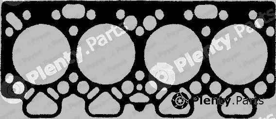 Payen BK070 — Gasket, cylinder head