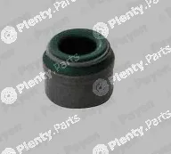 Payen PA6076 — Seal Ring, valve stem