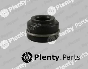Payen KJ246 — Seal Ring, valve stem