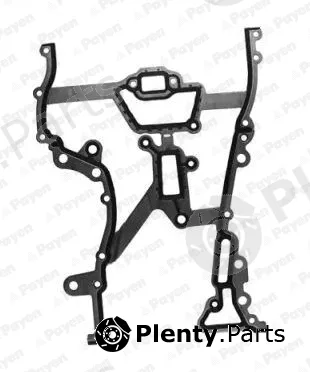 Payen JR5030 — Gasket, timing case