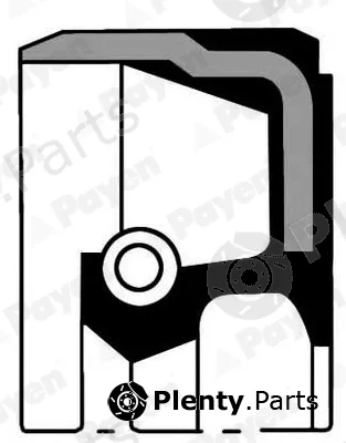 Payen NA5177 — Shaft Seal, crankshaft